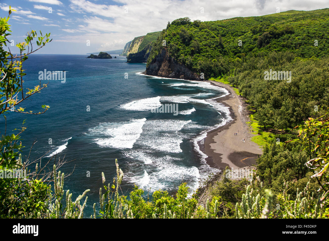 Akoakoa Point, Polulu Valley, Big Island of Hawai’i, Hawai’i, USA Stock Photo