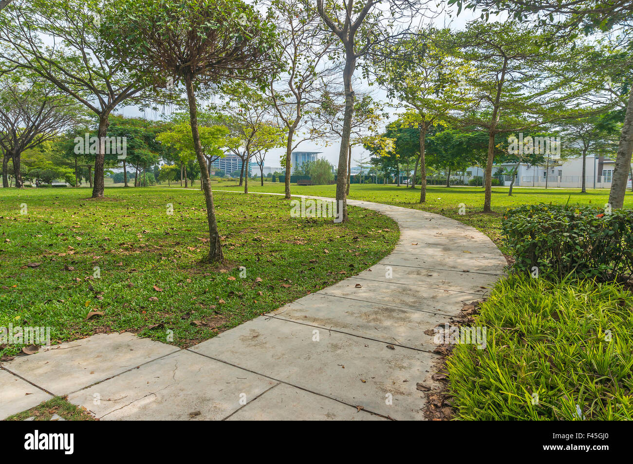 jogging track at green garden Stock Photo Alamy