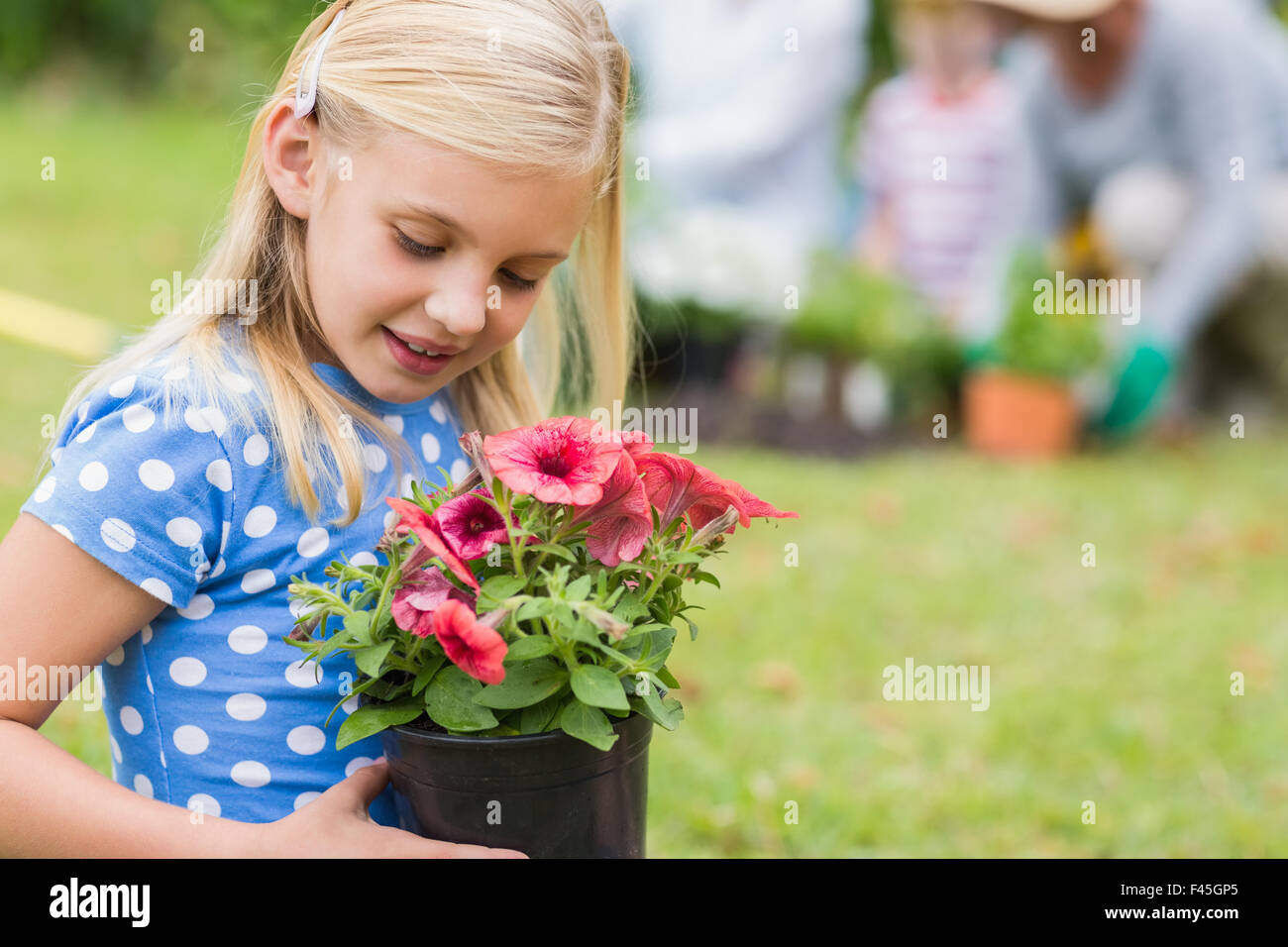 Cute little girl dressed in a short dress sits on a chair, and holding a  bouquet of flowers - Isolated on white background Stock Photo