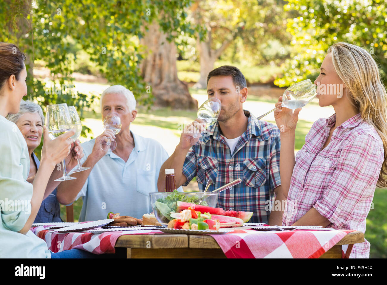 Happy family having picnic hi-res stock photography and images - Alamy
