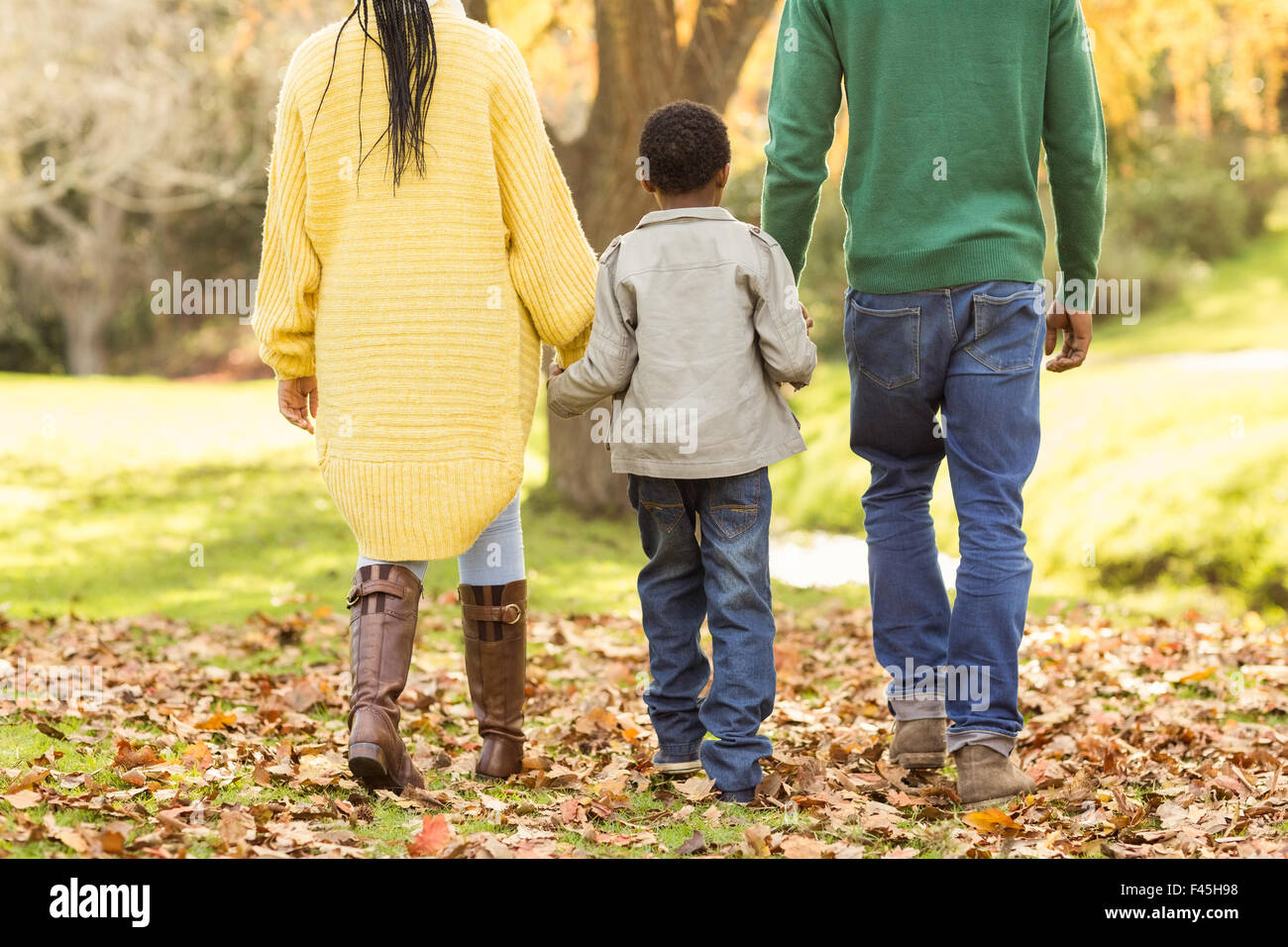 Rear view of a young family Stock Photo