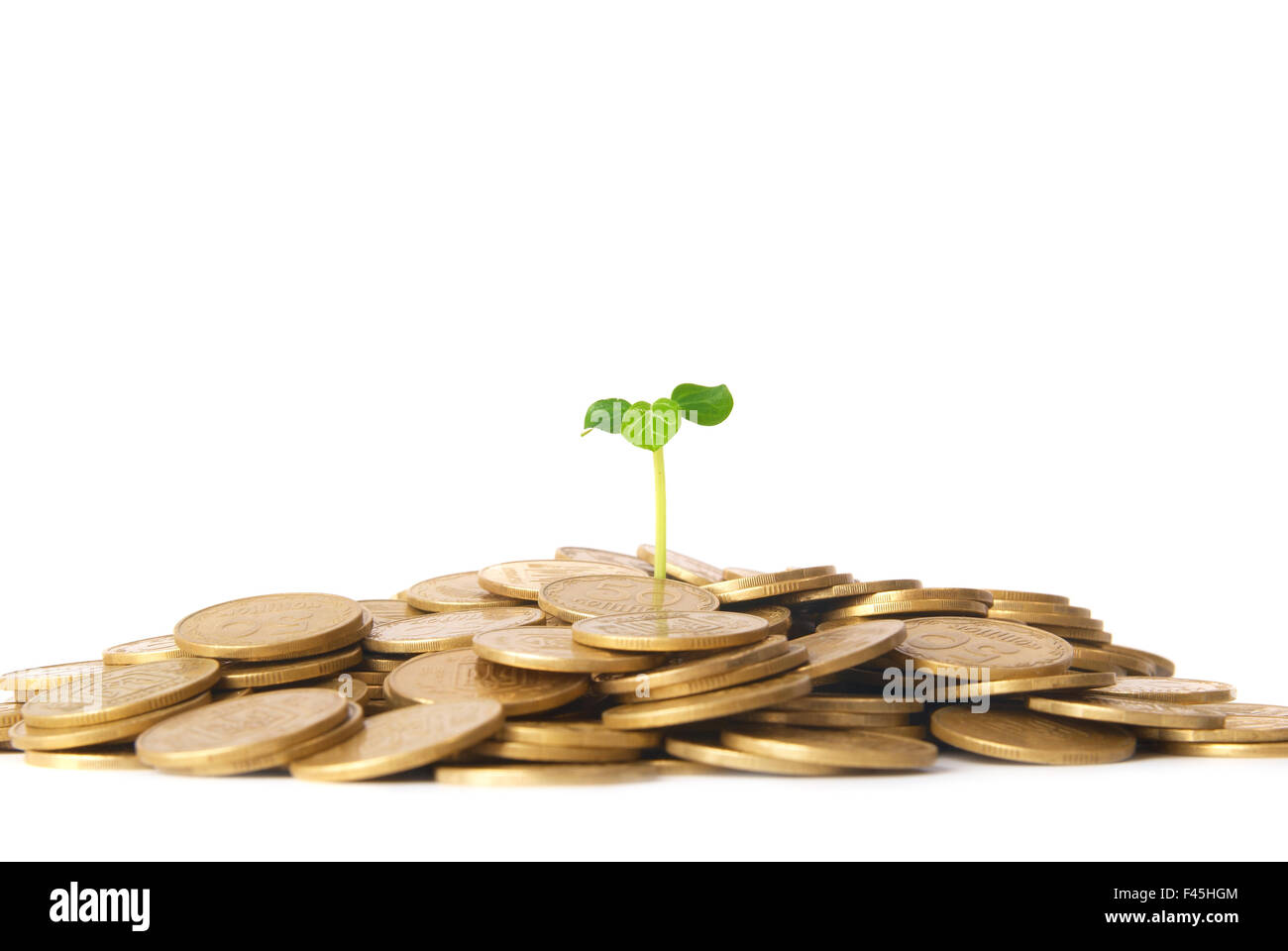 Green plant growing from the coins Stock Photo