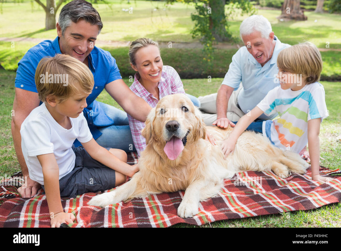 Happy family in the park with their dog Stock Photo - Alamy