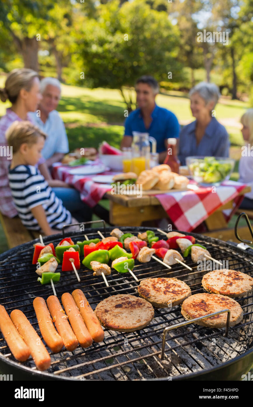 Family doing barbecue in the park Stock Photo Alamy
