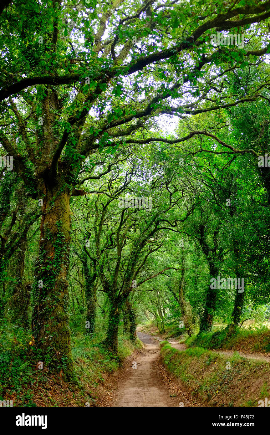 Palas De Rey High Resolution Stock Photography and Images Alamy