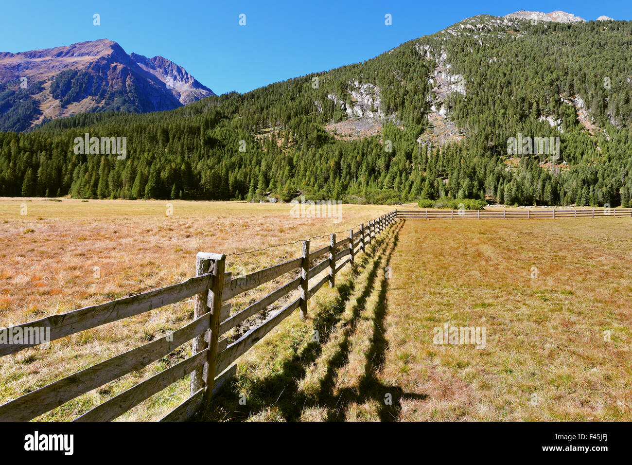 The wooden fence Stock Photo - Alamy