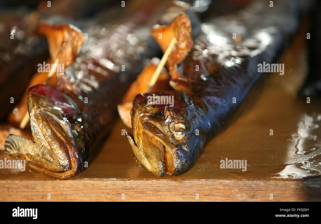 Trout Stock Photo