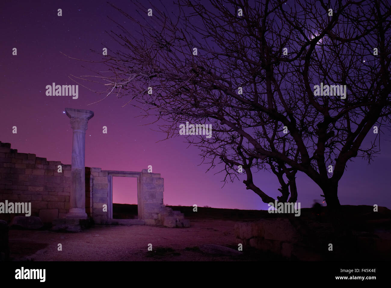 Lonely tree under blue night sky Stock Photo - Alamy