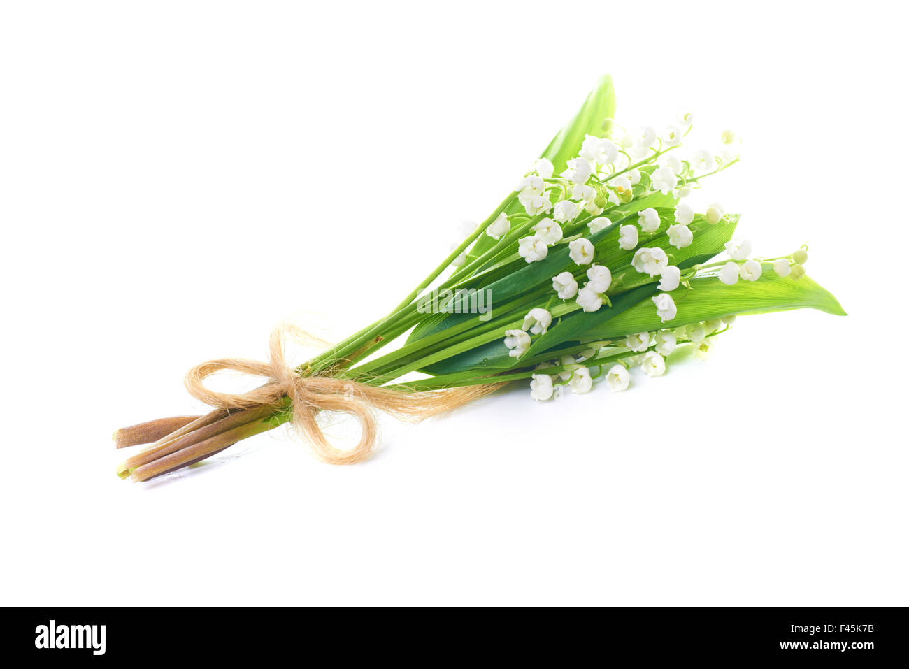 Lilies of the valley Stock Photo Alamy