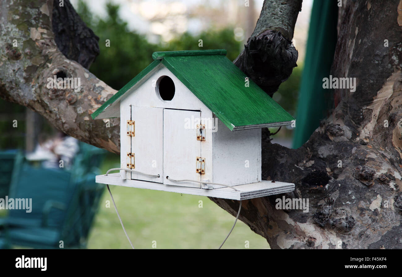 It's a photo of a small house for birds. A bird box or Bird house attached to a tree branch outdoor or outside Stock Photo