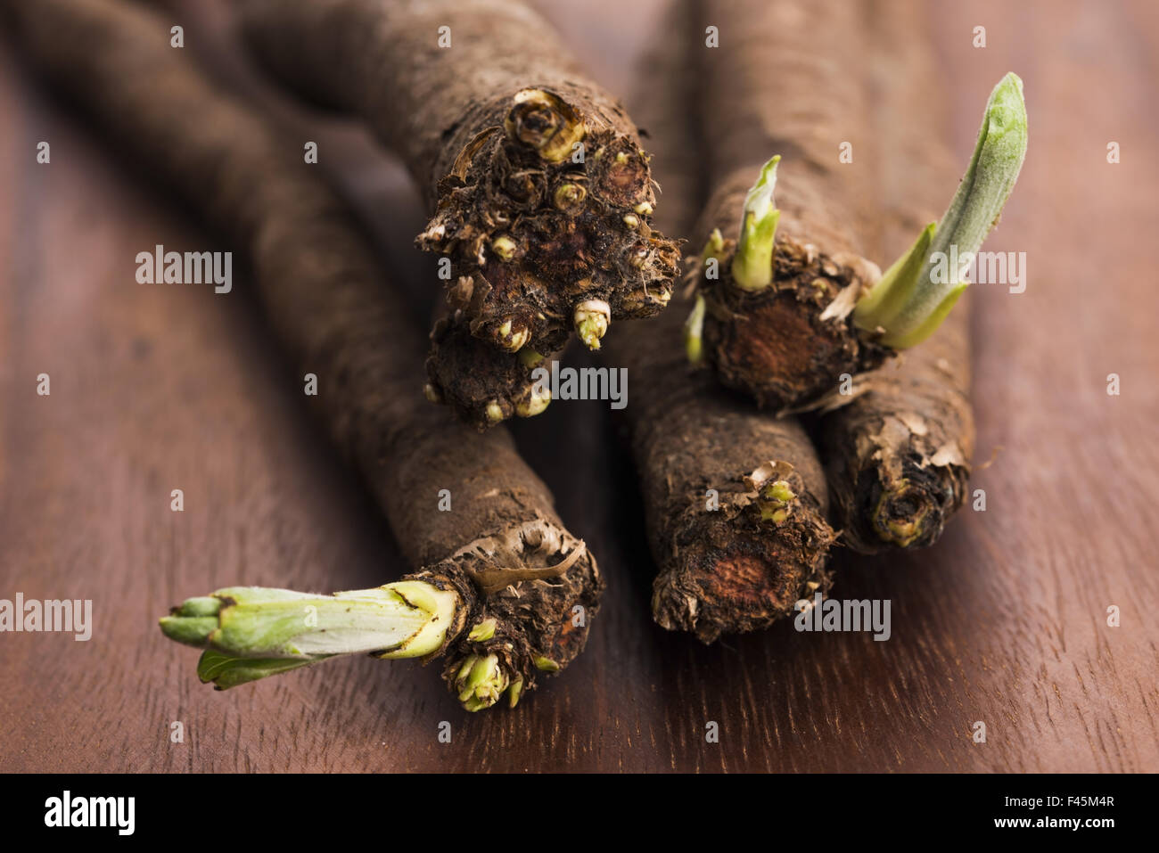 salsify vegetables on wood Stock Photo - Alamy