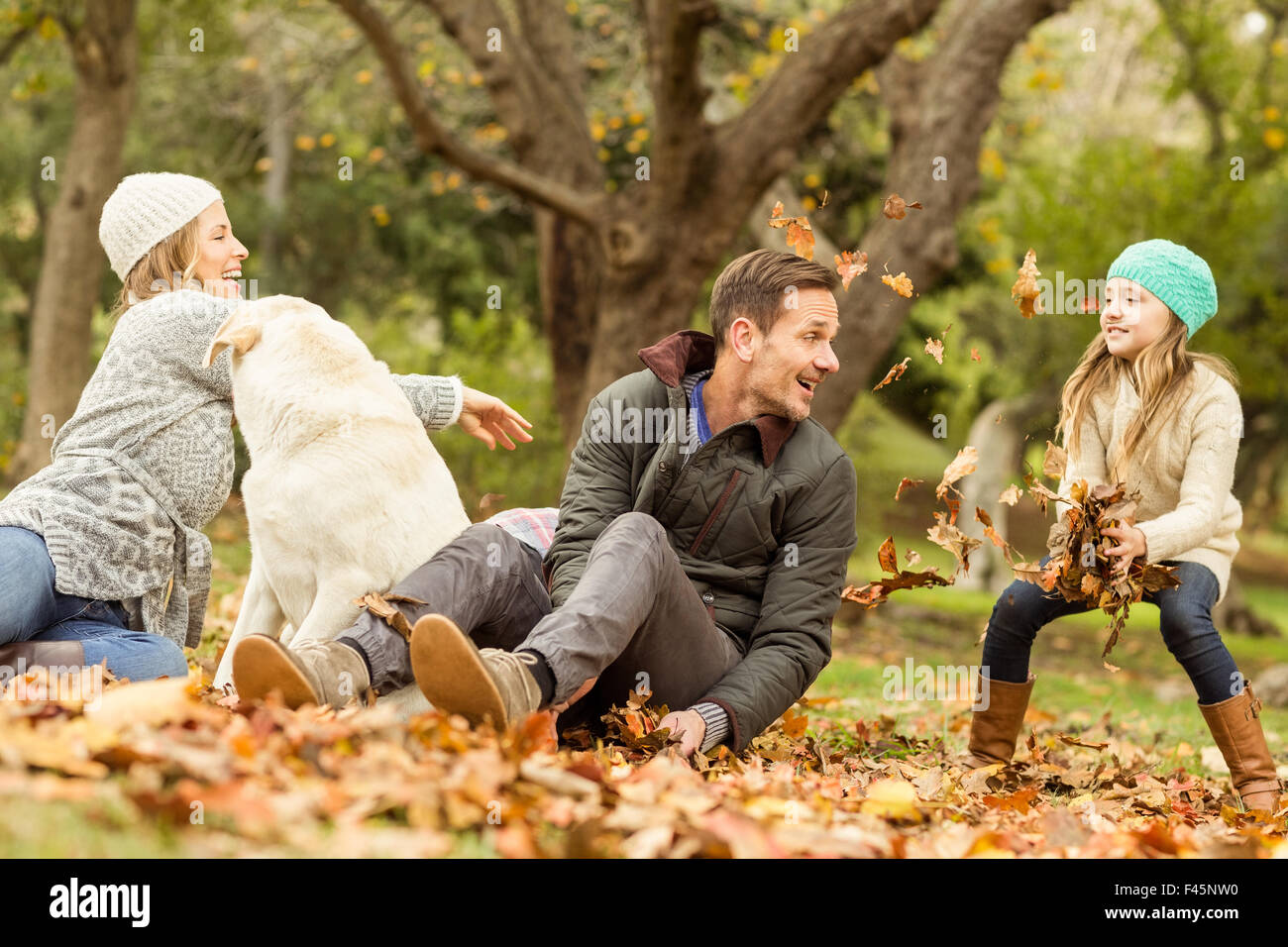 Young family with a dog in leaves Stock Photo