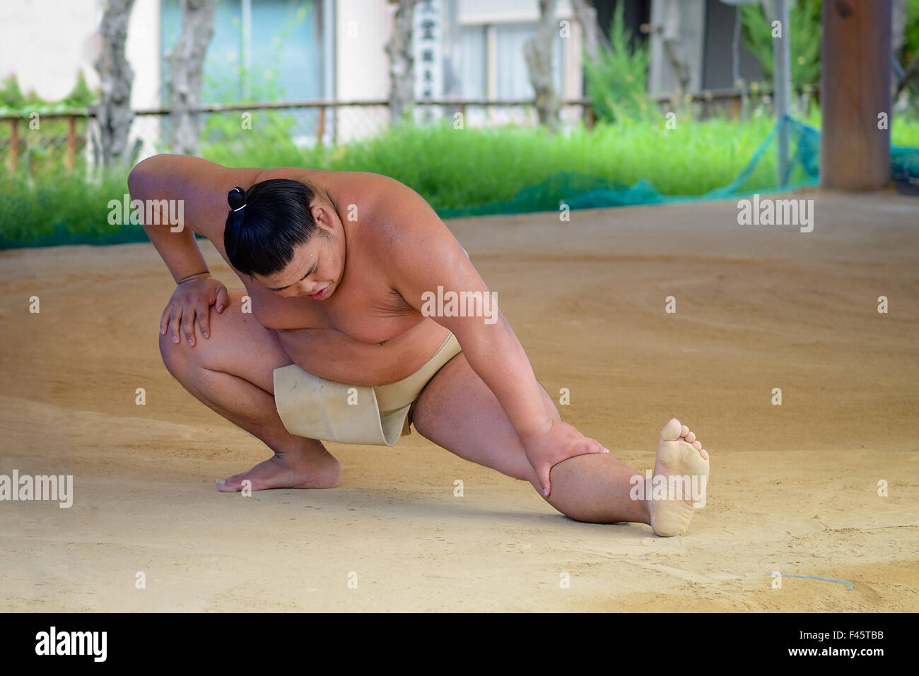 Sumo wrestler stretching at a morning practice. Stock Photo