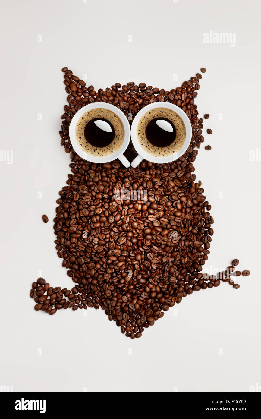 Coffee owl. Stock Photo