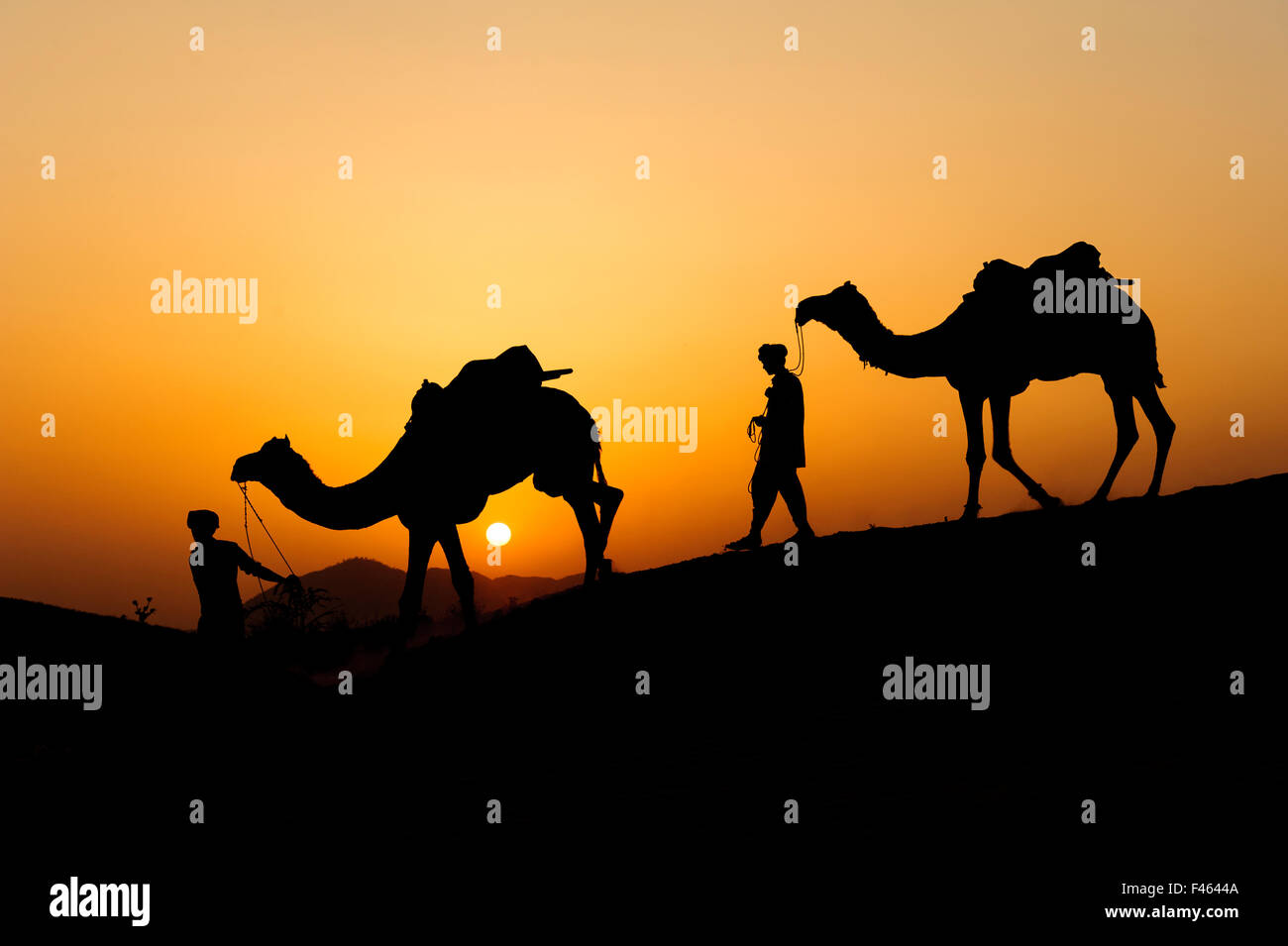 Silhouette of the Camel Trader across the sand dune during sunset at ...