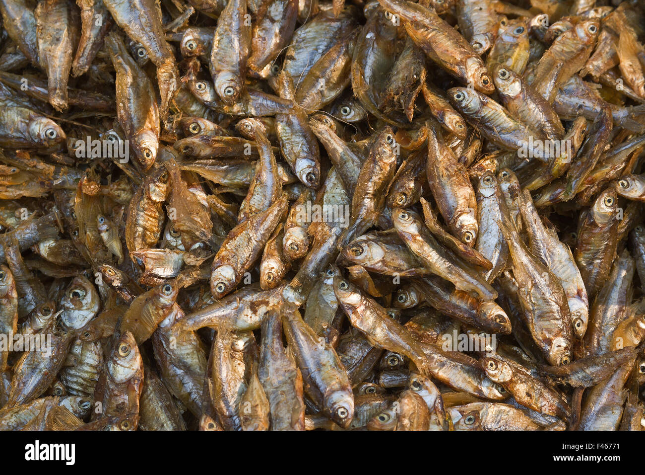Dry fish in nepali market Stock Photo