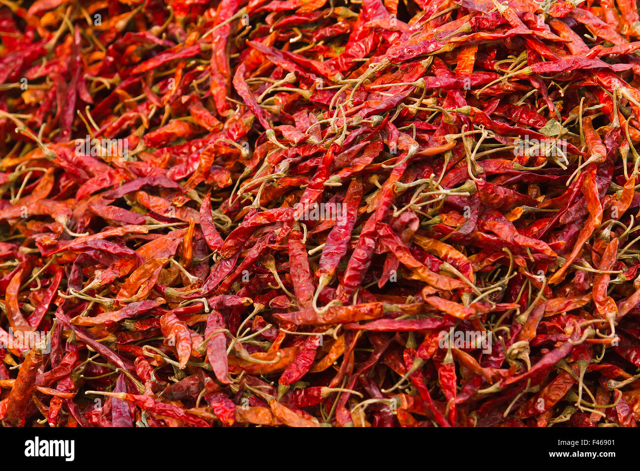 Dry red chili in nepali market Stock Photo Alamy