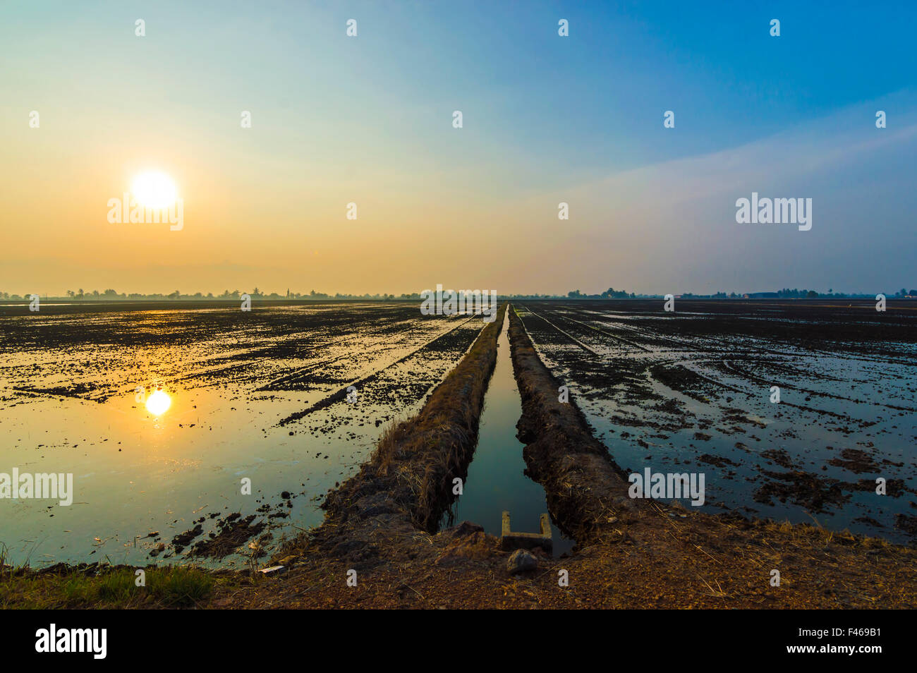 Sunrise and reflection at water paddy field Stock Photo - Alamy