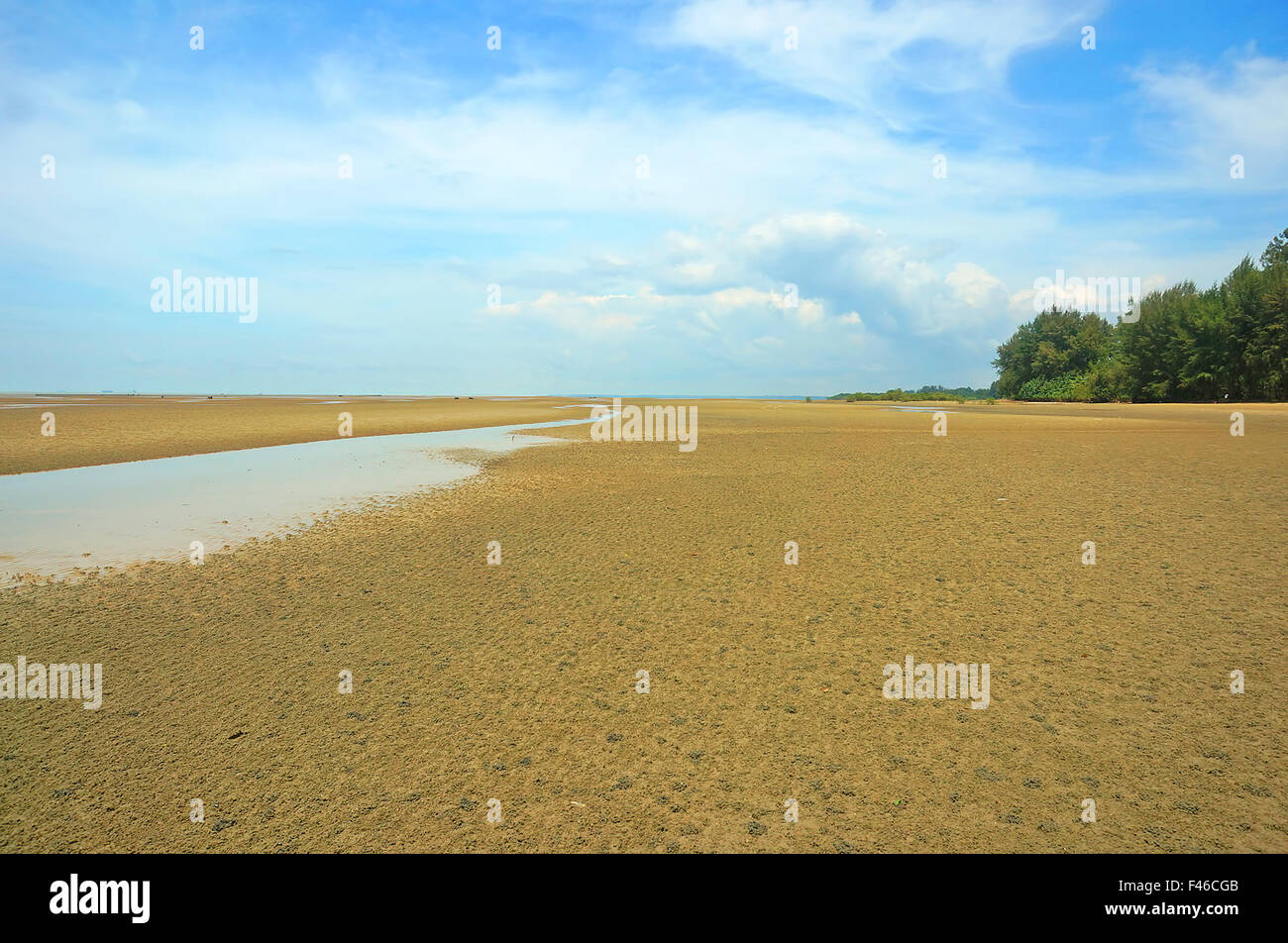 Beautiful beach with blue skies Stock Photo - Alamy