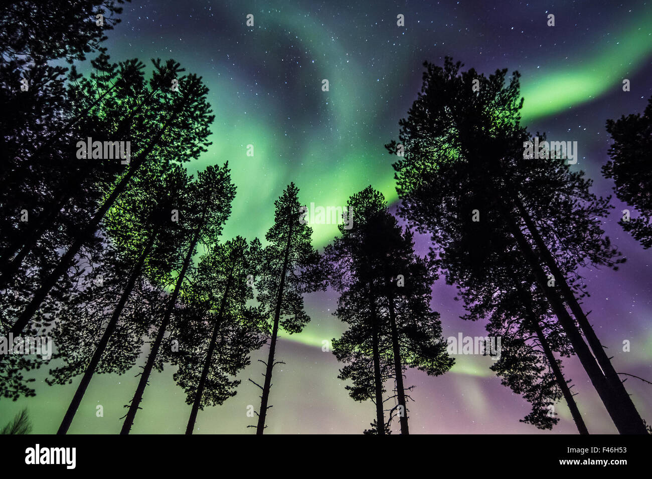 Northern lights in the sky over Finland. Stock Photo