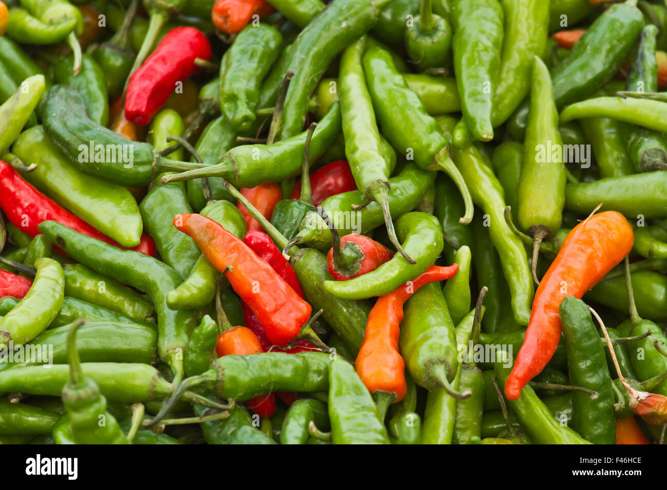 Green and red chili pepper in nepali market Stock Photo Alamy