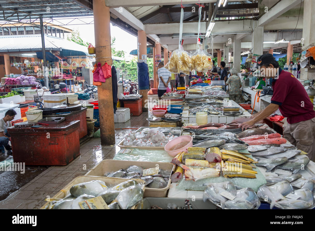 Johor Malaysia 23 November 13 Fish Seller At Parit Jawa Market The Famous Wholesale Market In Johore This Market Selling Stock Photo Alamy