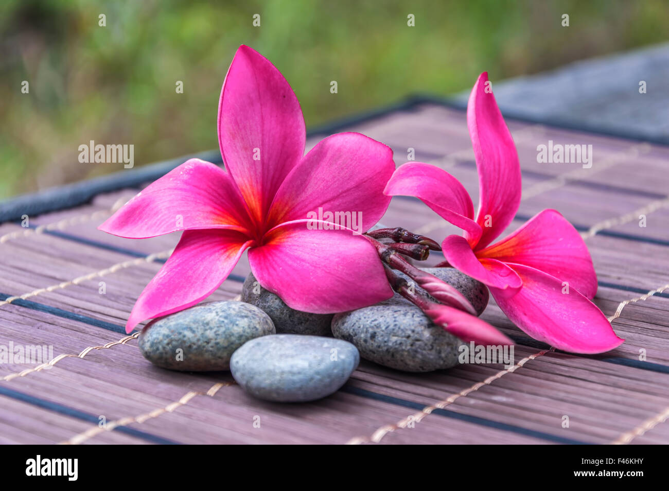 Pink blind hi-res stock photography and images - Alamy