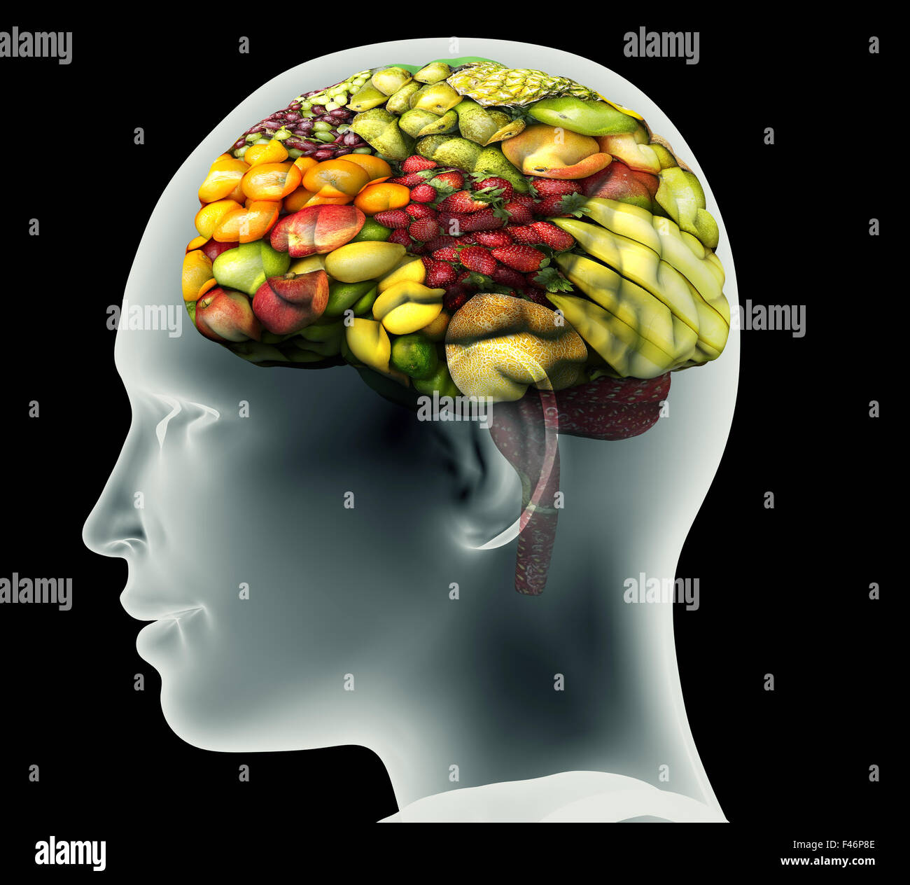 x-ray image of human head with fruit for a brain. Stock Photo