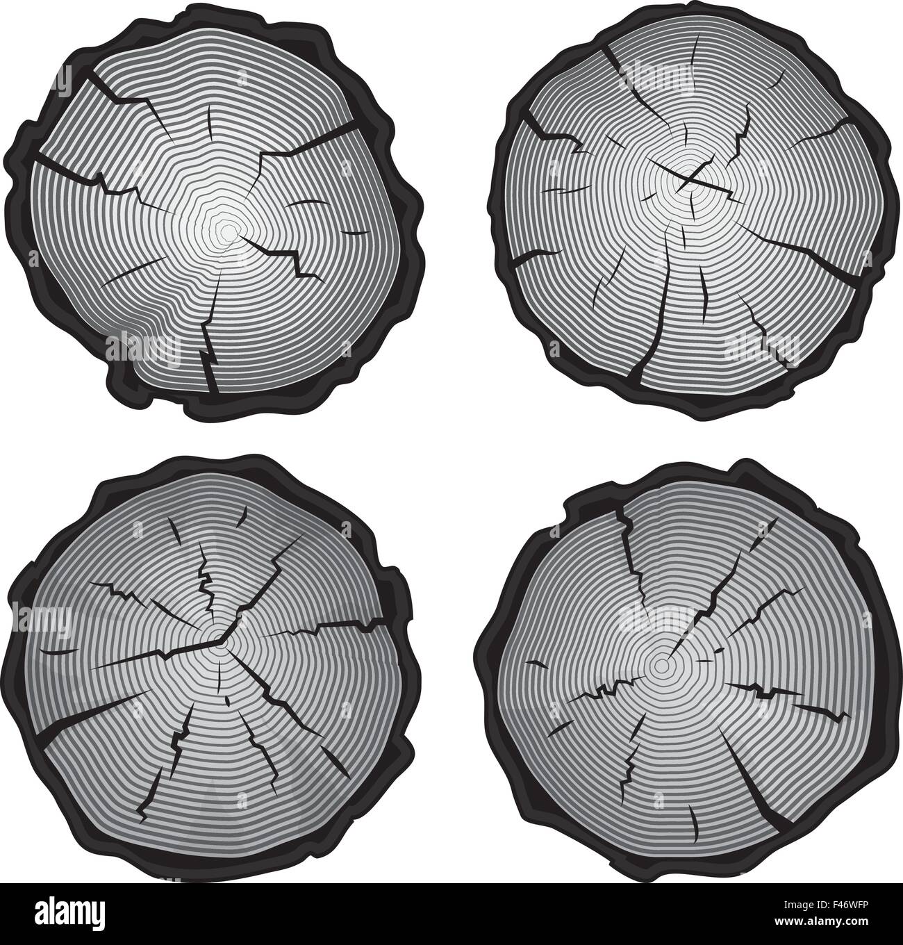 Set of four tree rings icons. Isolated on white background.Vector ...