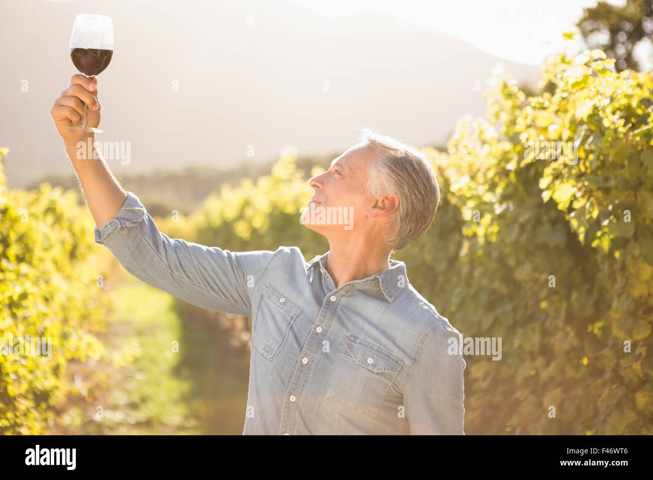 Smiling man examining red wine Stock Photo - Alamy
