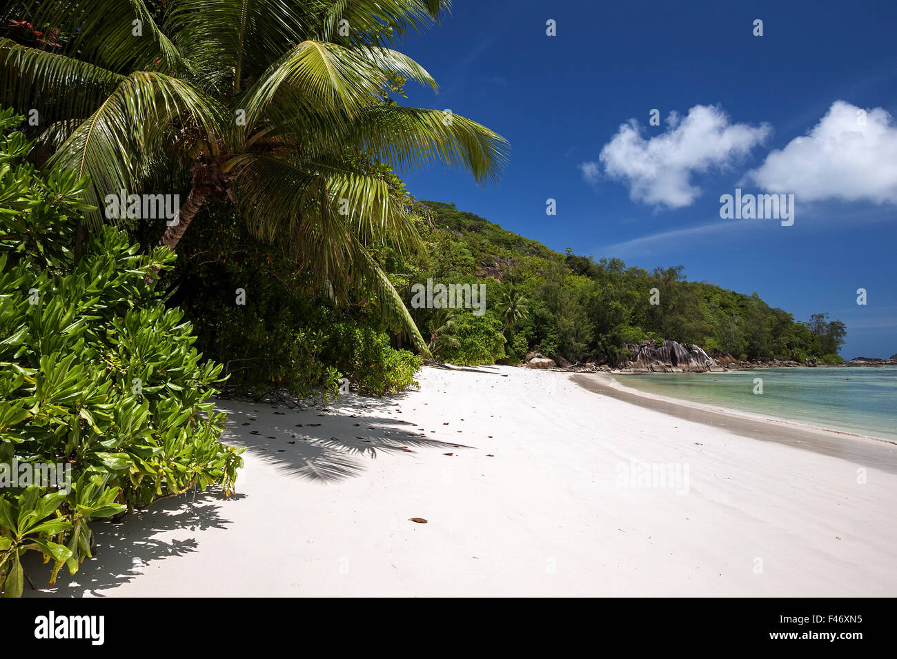Dreamlike white sand beach with palm trees, Port Launay Marine National Park, Mahe Island, Seychelles Stock Photo