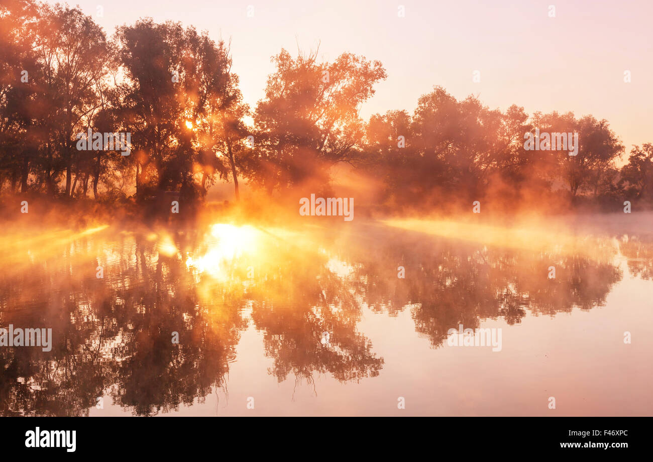 Fog on the river Stock Photo - Alamy