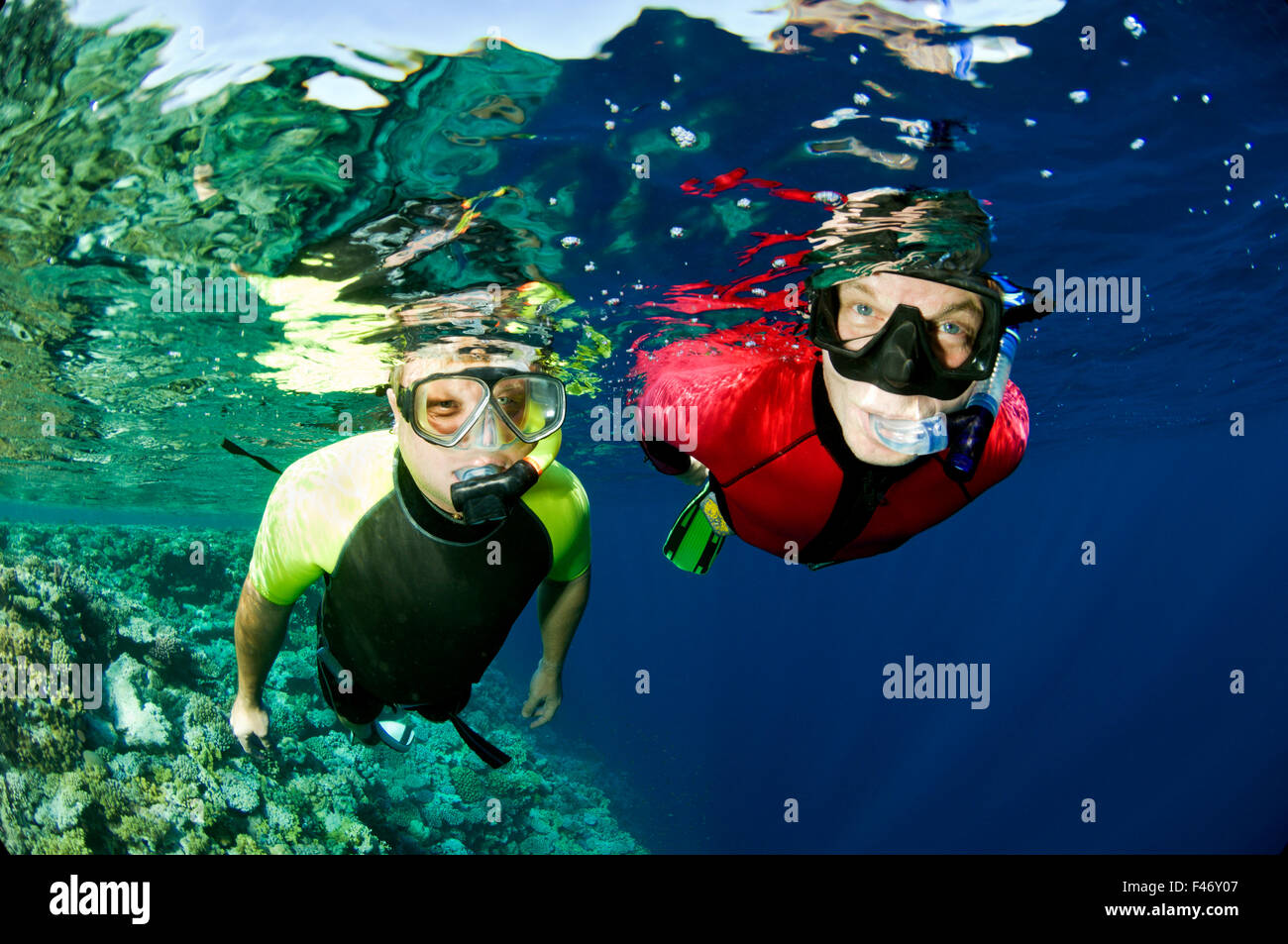 Two people snorkling, Egypt. Stock Photo