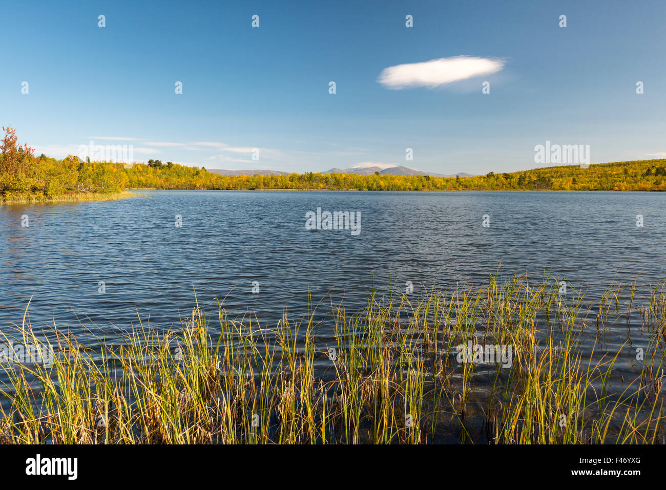Vuolio Njáhkájávri lake, Abisko National Park, Norrbotten, Lapland, Sweden Stock Photo