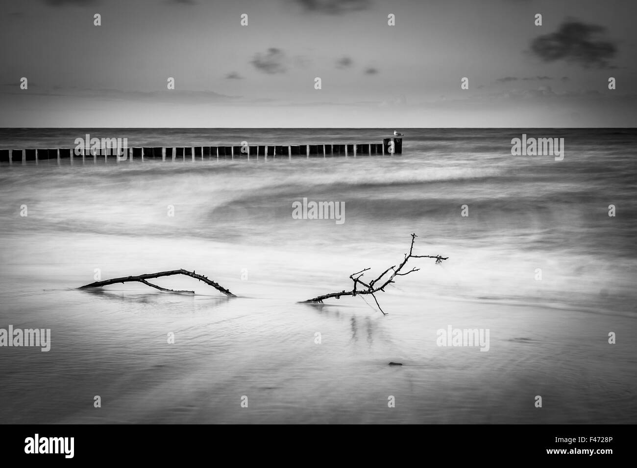 sea green rajputi poshak