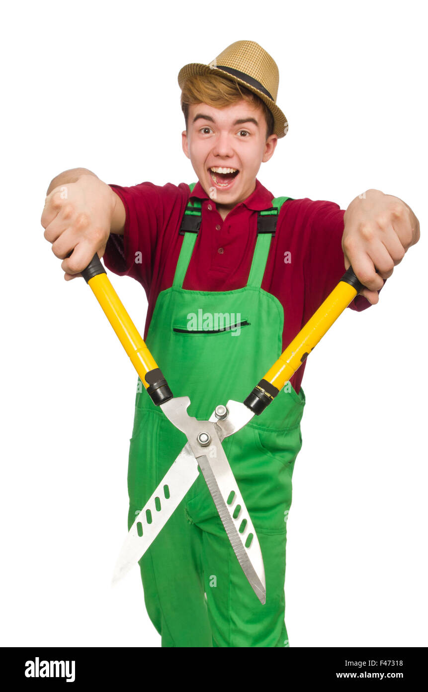Shears Stock Image Man with shears isolated on white Stock Photo - Alamy