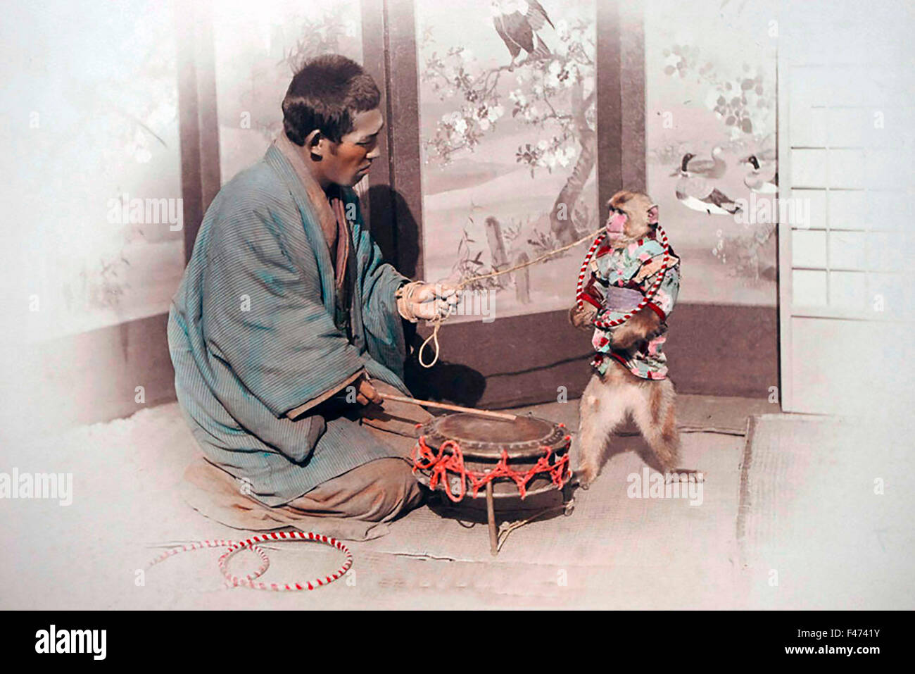 Trained monkey, Japan Stock Photo Alamy