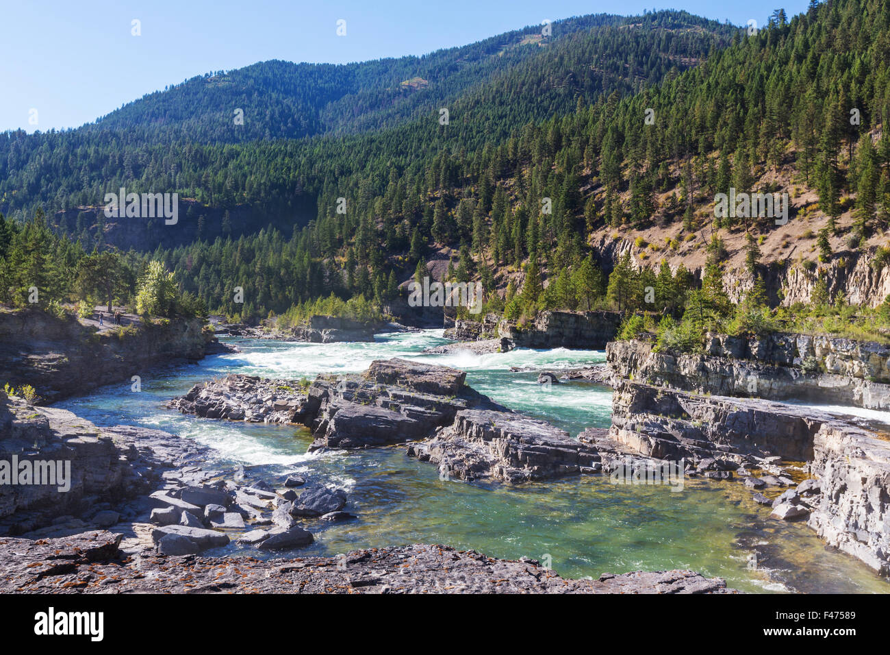Kootenai Falls Stock Photo 88668281 Alamy