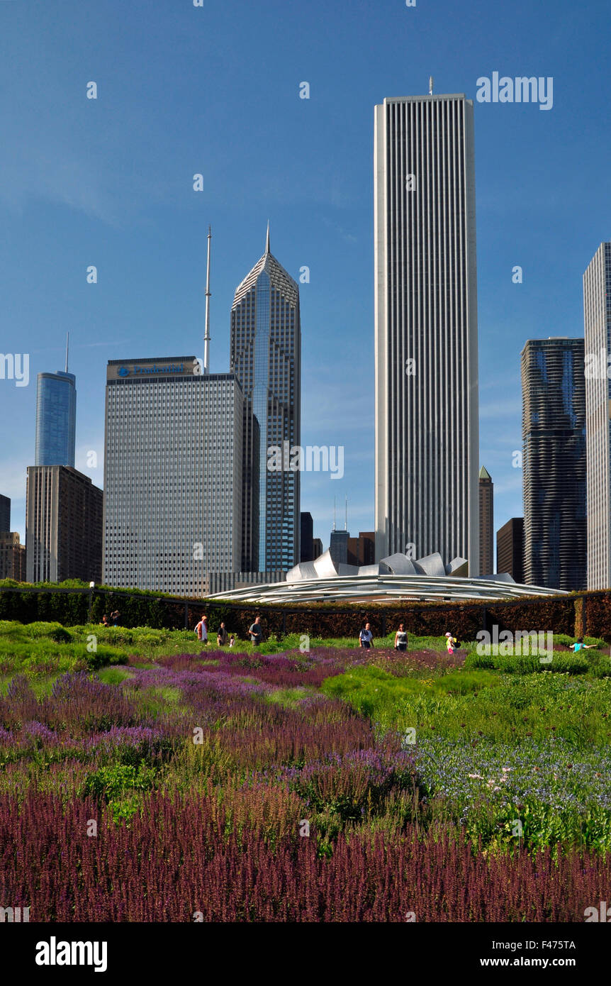 Flower carpet in center of Chicago, Aon Center behind, Millenium Park, Chicago, Illinois, USA Stock Photo