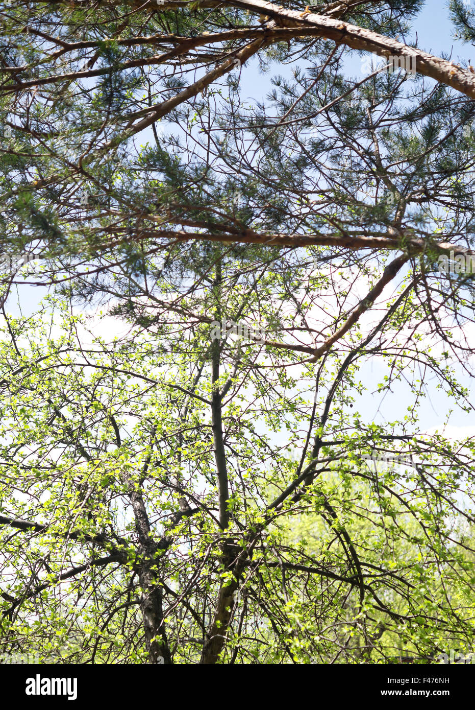 Spring summer hi hi-res stock photography and images - Alamy