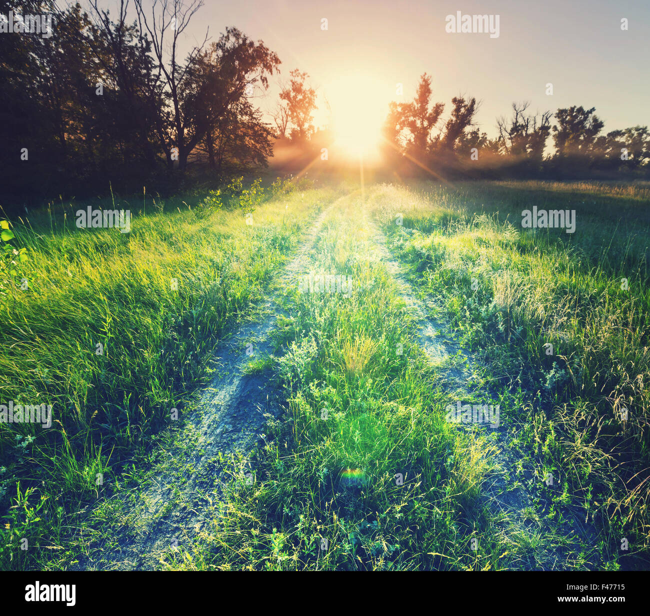 Road in the field Stock Photo - Alamy