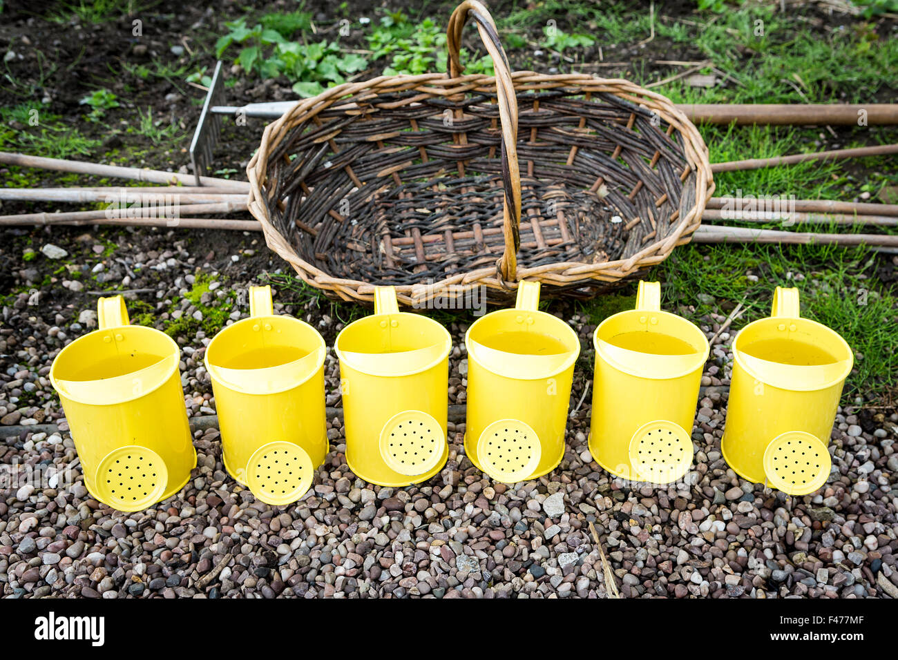 Row of yellow childrens' watering cans next to some canes and wicker gardening trug Stock Photo