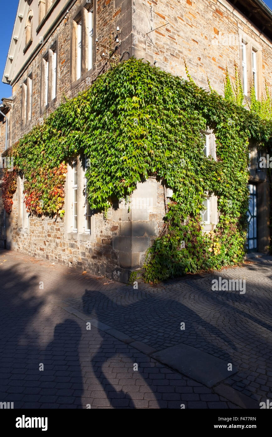 traditional corner house covered in ivy Stock Photo Alamy