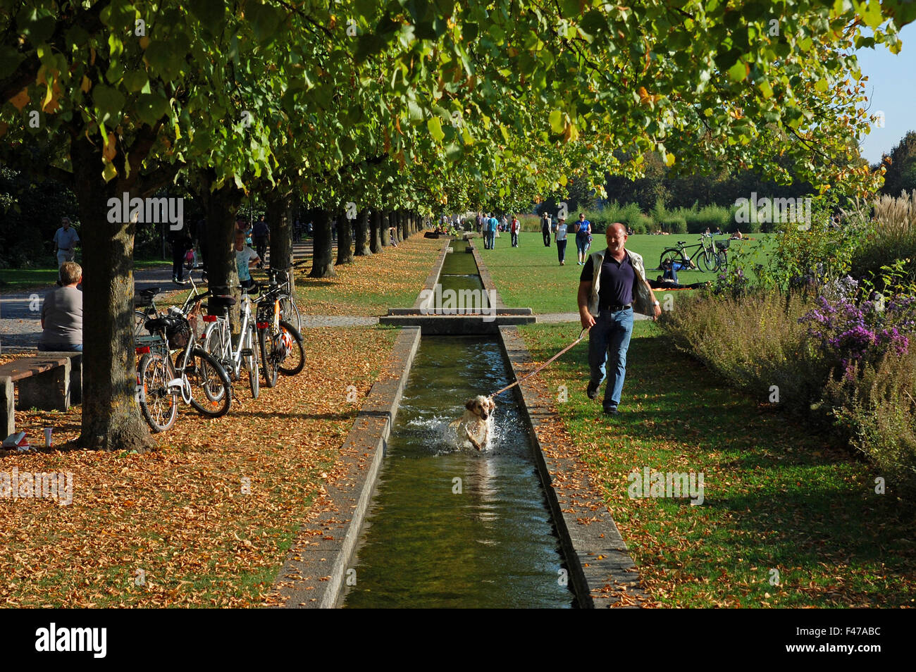 Man Running His Dog Through A Water Channel In Klenzepark In The City Stock Photo Alamy