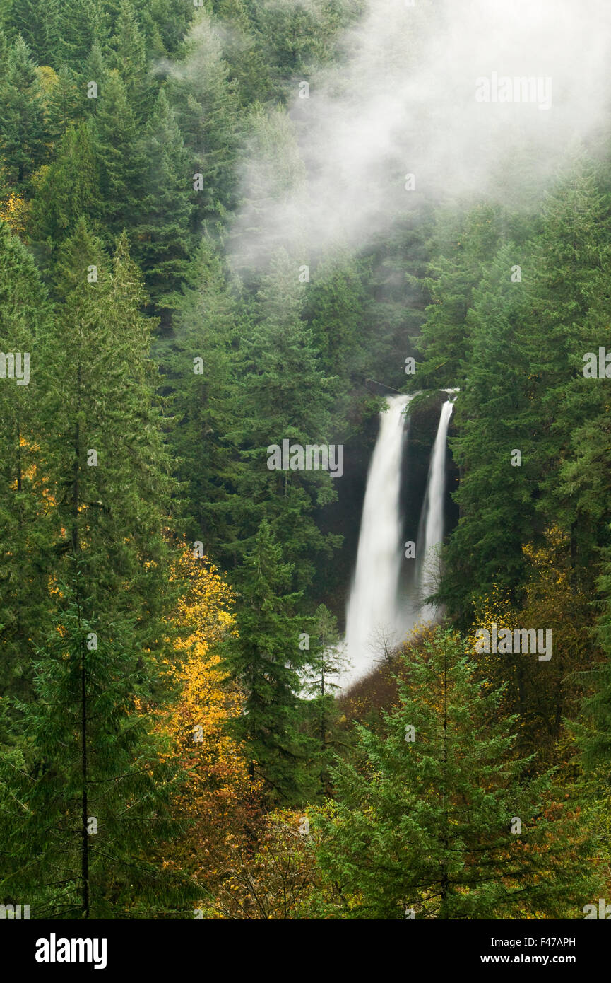 Waterfall North Falls, Silver Falls State Park, Oregon, USA Stock Photo