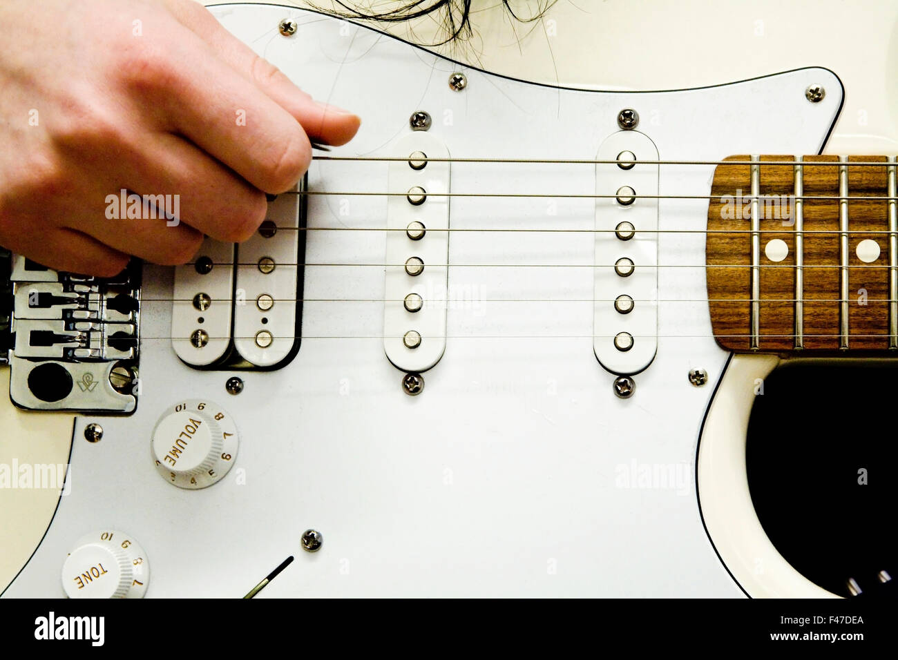 Body of the instrument hi-res stock photography and images - Alamy