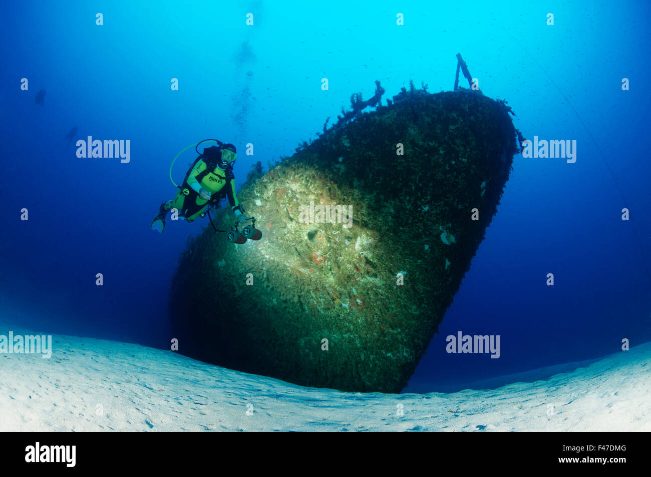 Malta P29, Shipwreck, ex German Kondo Class minesweeper and scuba diver, Malta, South Europe, Mediterranean Sea Stock Photo