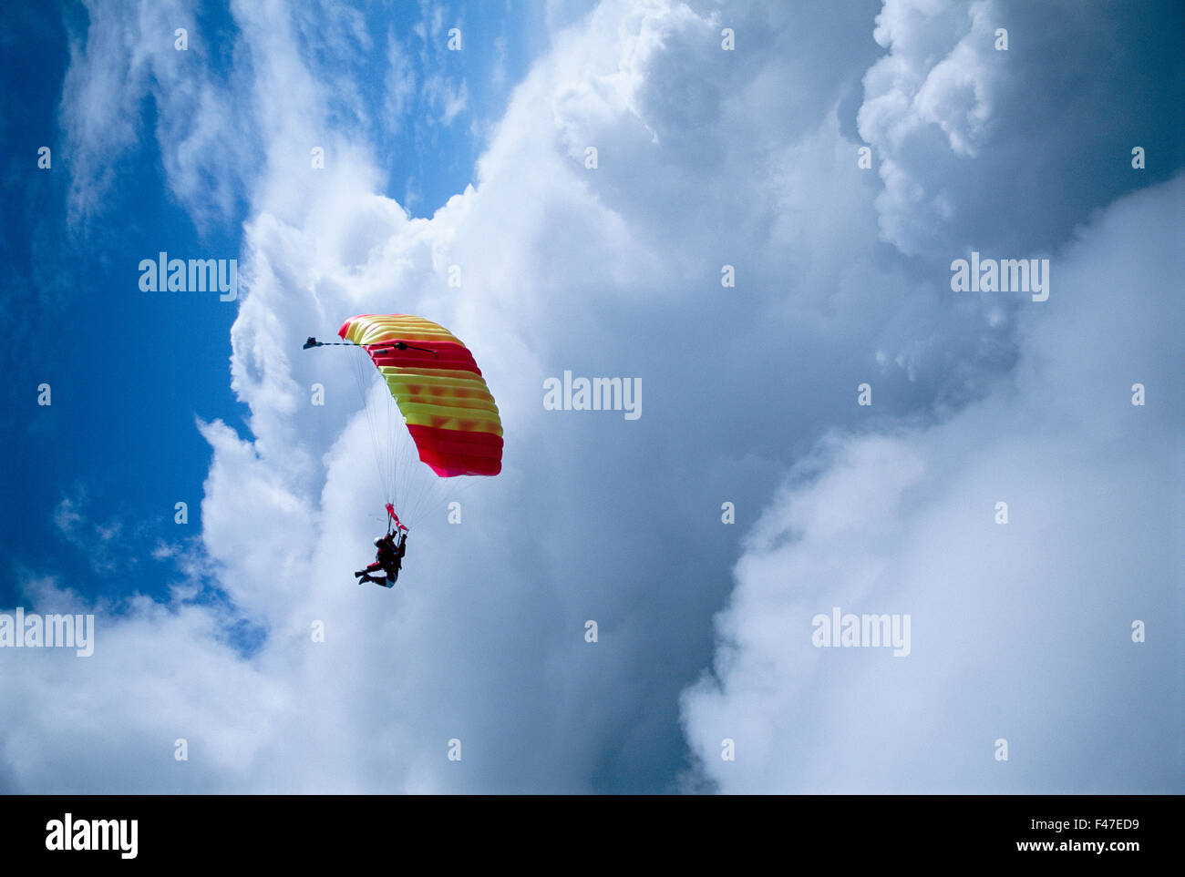 Parachute jumpers in the sky Stock Photo Alamy