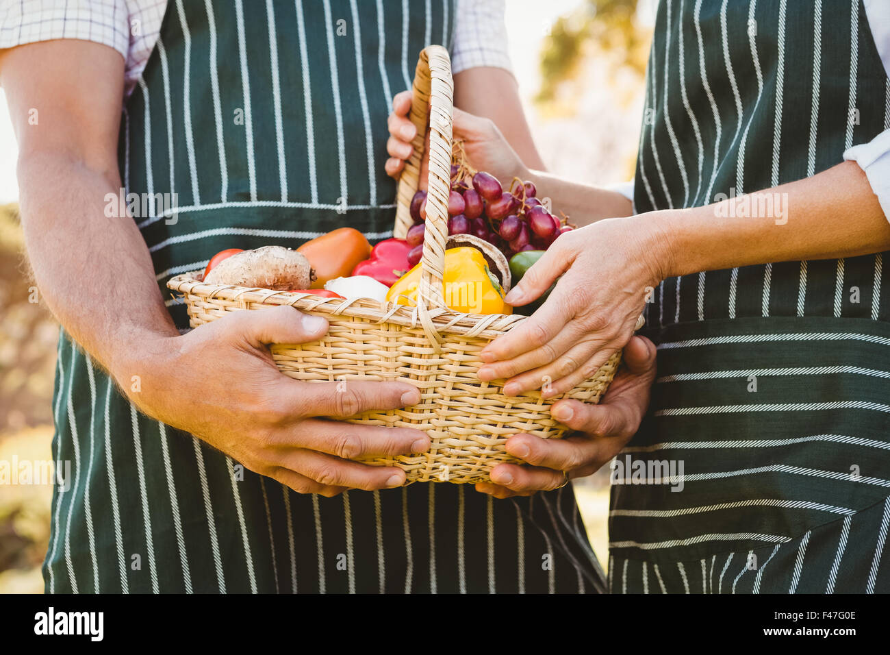 Two mature happy farmers holding a basket of vegetables Stock Photo - Alamy