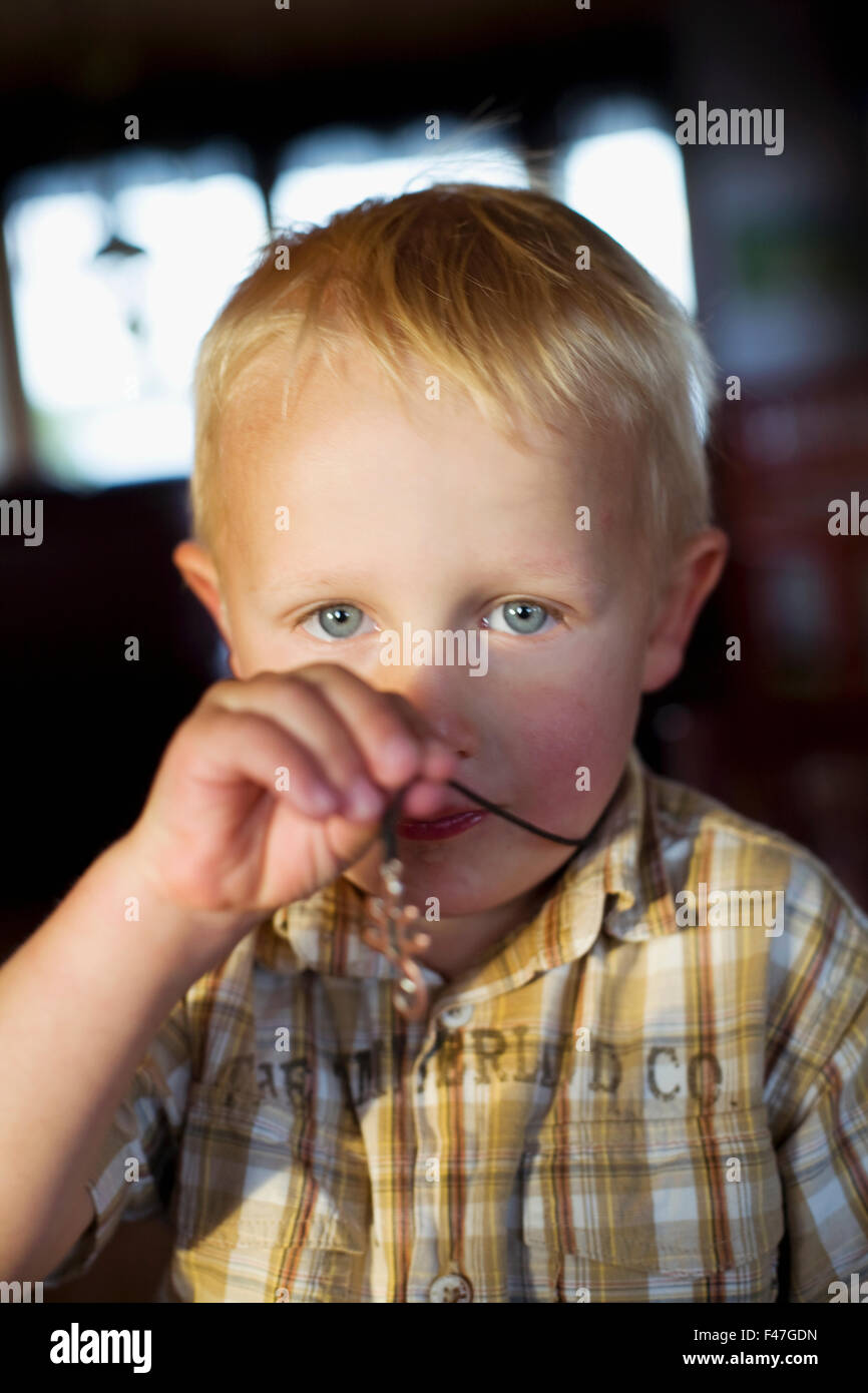 Portrait Of A Scandinavian Little Boy, Sweden Stock Photo - Alamy